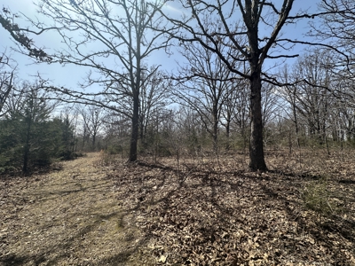 Brick Home with Acreage for Sale in Salem, Missouri - image 39