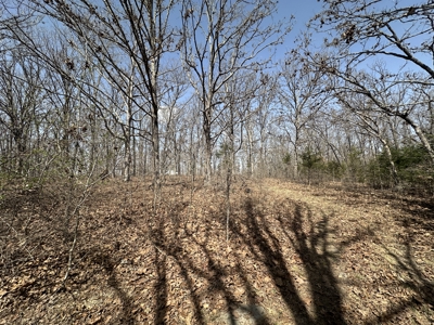 Brick Home with Acreage for Sale in Salem, Missouri - image 37