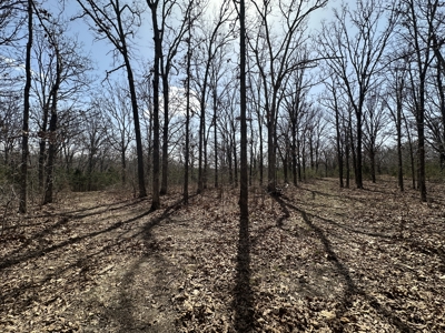 Brick Home with Acreage for Sale in Salem, Missouri - image 36
