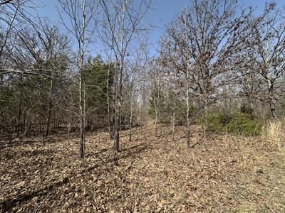 Brick Home with Acreage for Sale in Salem, Missouri - image 42