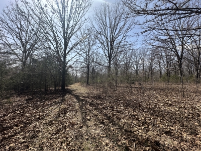 Brick Home with Acreage for Sale in Salem, Missouri - image 35