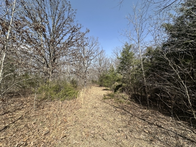 Brick Home with Acreage for Sale in Salem, Missouri - image 40