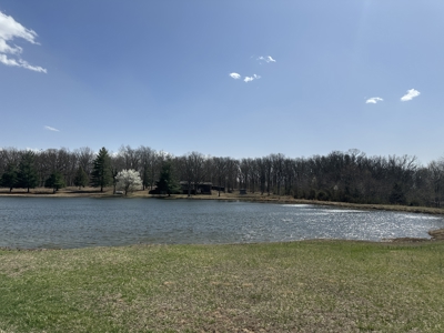 Brick Home with Acreage for Sale in Salem, Missouri - image 6