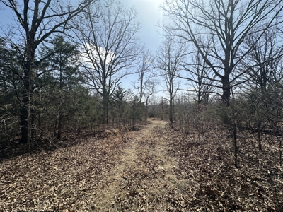 Brick Home with Acreage for Sale in Salem, Missouri - image 38