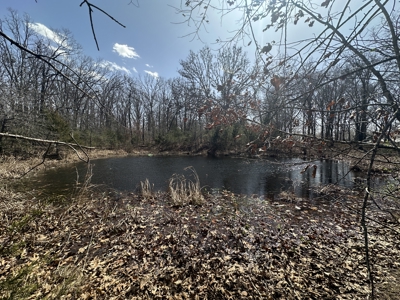 Brick Home with Acreage for Sale in Salem, Missouri - image 32