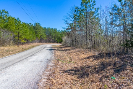 Land for Sale in Lewis County, Tennessee - image 1