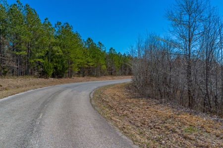 Land for Sale in Lewis County, Tennessee - image 2