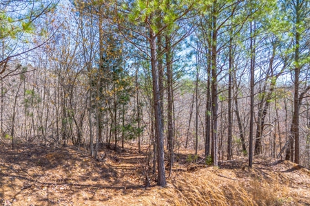 Land for Sale in Lewis County, Tennessee - image 21