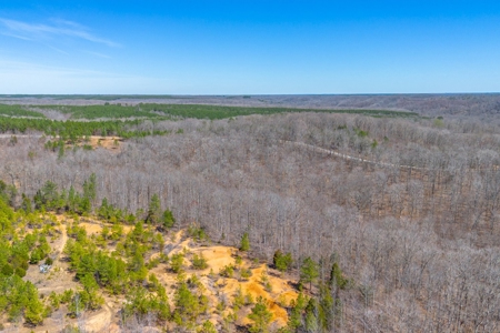 Land for Sale in Lewis County, Tennessee - image 18