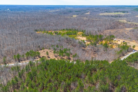 Land for Sale in Lewis County, Tennessee - image 19
