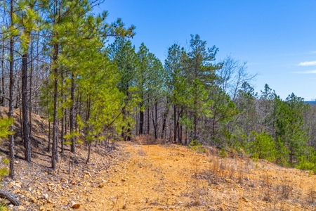 Land for Sale in Lewis County, Tennessee - image 13