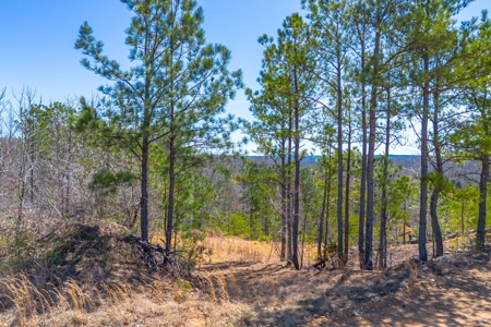 Land for Sale in Lewis County, Tennessee - image 9