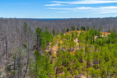 Land for Sale in Lewis County, Tennessee - image 11