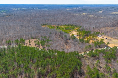 Land for Sale in Lewis County, Tennessee - image 20