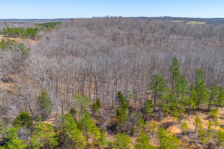 Land for Sale in Lewis County, Tennessee - image 12