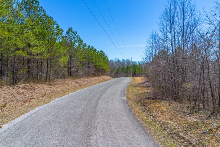 Land for Sale in Lewis County, Tennessee - image 3