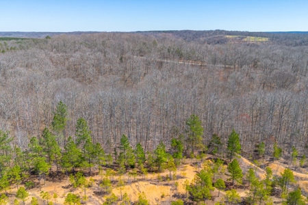 Land for Sale in Lewis County, Tennessee - image 16