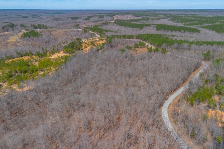 Land for Sale in Lewis County, Tennessee - image 17