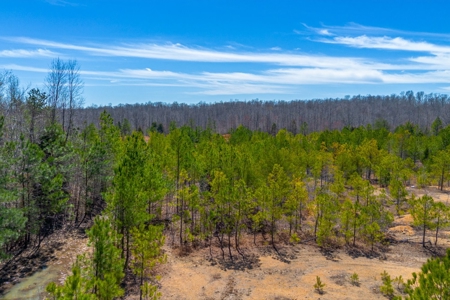Land for Sale in Lewis County, Tennessee - image 8
