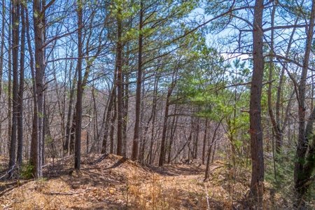 Land for Sale in Lewis County, Tennessee - image 22