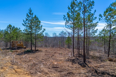 Land for Sale in Lewis County, Tennessee - image 5