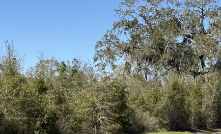 Prime Commercial Development Acreage ,  Corner Parcel Lake City , Florida - image 14