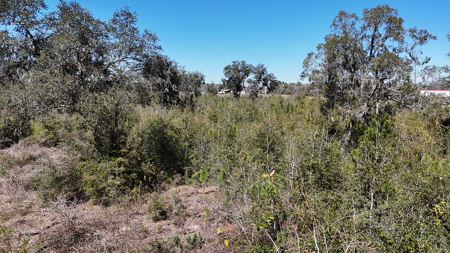 Prime Commercial Development Acreage ,  Corner Parcel Lake City , Florida - image 11