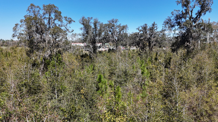 Prime Commercial Development Acreage ,  Corner Parcel Lake City , Florida - image 13
