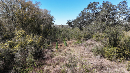 Prime Commercial Development Acreage ,  Corner Parcel Lake City , Florida - image 10