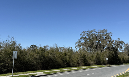 Prime Commercial Development Acreage ,  Corner Parcel Lake City , Florida - image 2