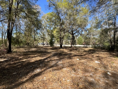 1-Acre Lot with Well Septic – Prime Location Near Santa Fe River! - image 12