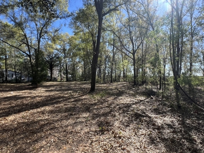 1-Acre Lot with Well Septic – Prime Location Near Santa Fe River! - image 19