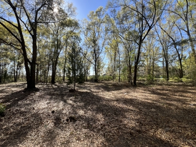 1-Acre Lot with Well Septic – Prime Location Near Santa Fe River! - image 11