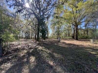 1-Acre Lot with Well Septic – Prime Location Near Santa Fe River! - image 20