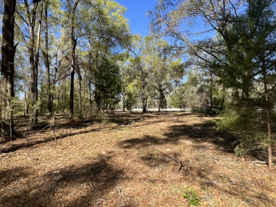1-Acre Lot with Well Septic – Prime Location Near Santa Fe River! - image 15