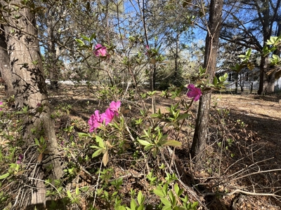 1-Acre Lot with Well Septic – Prime Location Near Santa Fe River! - image 14