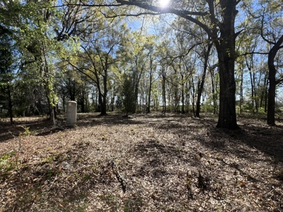 1-Acre Lot with Well Septic – Prime Location Near Santa Fe River! - image 13