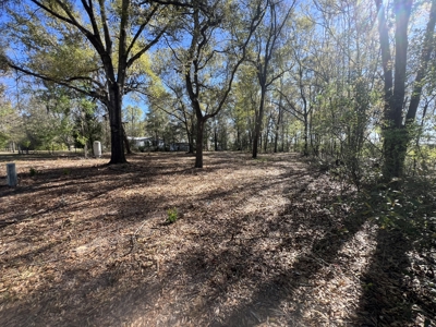 1-Acre Lot with Well Septic – Prime Location Near Santa Fe River! - image 18