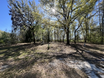 1-Acre Lot with Well Septic – Prime Location Near Santa Fe River! - image 17