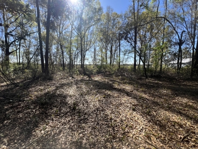 1-Acre Lot with Well Septic – Prime Location Near Santa Fe River! - image 16