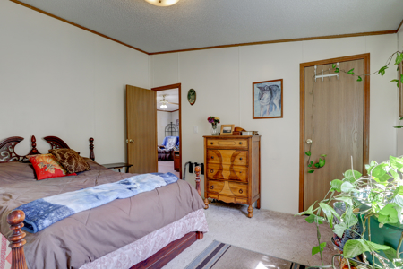 Four Bedroom Home in McElmo Canyon - image 19