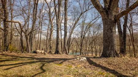 European Style Luxury Home & Acreage On The Southfork River - Salem Arkansas - image 40