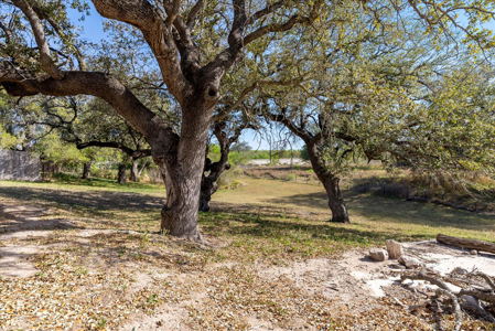 Prime Commercial Investment- George West, Texas - image 34