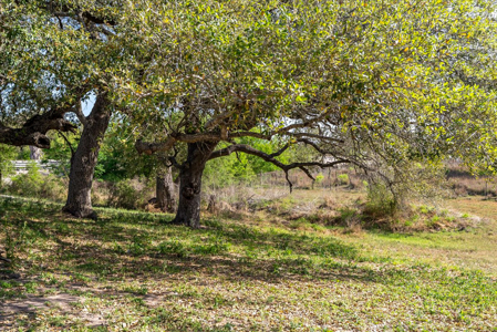 Prime Commercial Investment- George West, Texas - image 32