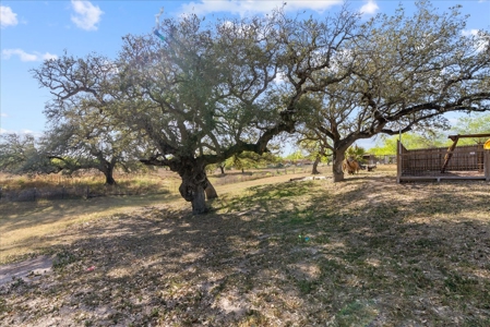 Prime Commercial Investment- George West, Texas - image 31