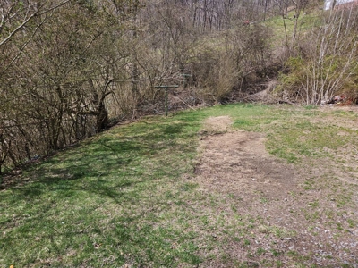 Fixer Upper for Sale in Dante VA - image 4