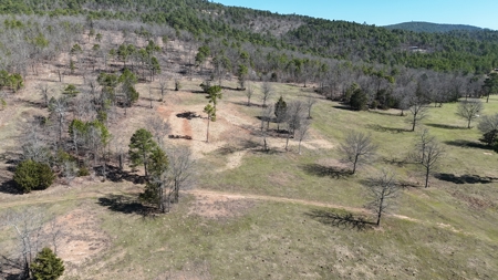 Lakeview Property For Sale - Sardis Lake Yanush, OK. - image 4