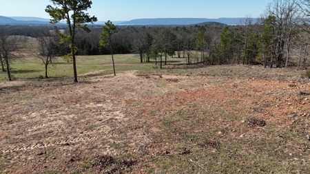 Lakeview Property For Sale - Sardis Lake Yanush, OK. - image 2