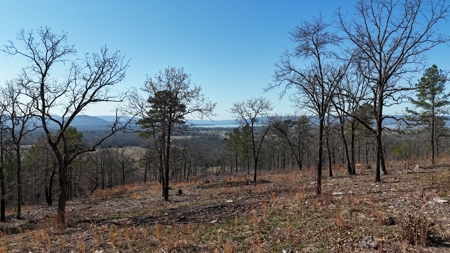 Lakeview Property For Sale - Sardis Lake Yanush, OK. - image 7