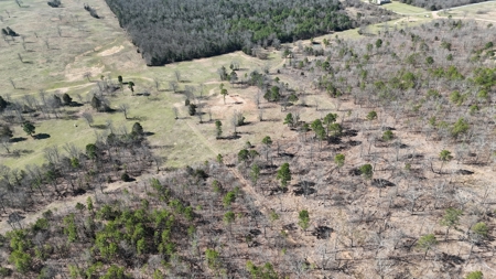 Lakeview Property For Sale - Sardis Lake Yanush, OK. - image 6